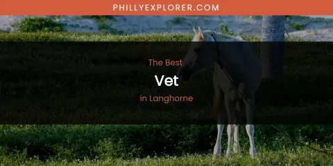 Langhorne's Best Vet